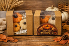 Set of 3 Various Sz Pumpkin Shape Wax Melts - Mystic Pumpkin