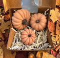 Set of 3 Various Sz Pumpkin Shape Wax Melts - Autumn Spice Berry Scent