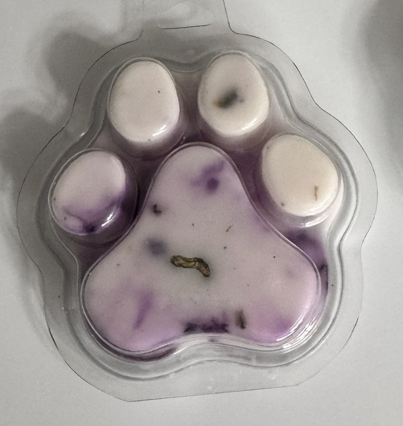 Large Paw Print Wax Melt - Various Scents