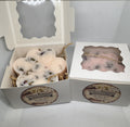 Large Paw Print Vanilla Mahogany Marshmallow Wax Melt 5 oz