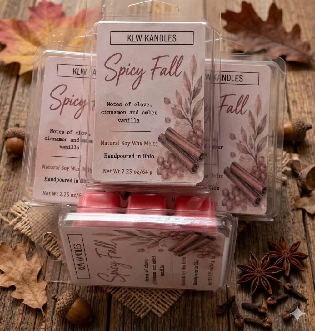 Spicy Fall Scent Soy Wax Melt