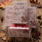 Spicy Fall Scent Soy Wax Melt