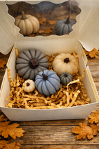 Set of Pumpkin Shape Wax Melts - Sweater Season
