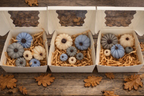 Set of Pumpkin Shape Wax Melts - Sweater Season