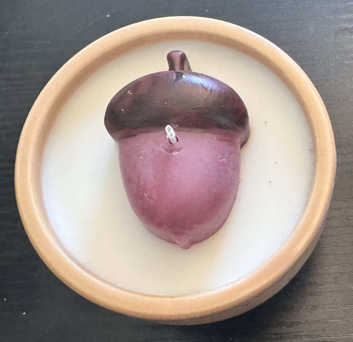 Fall Acorn or Pumpkin Ceramic Jar Candles