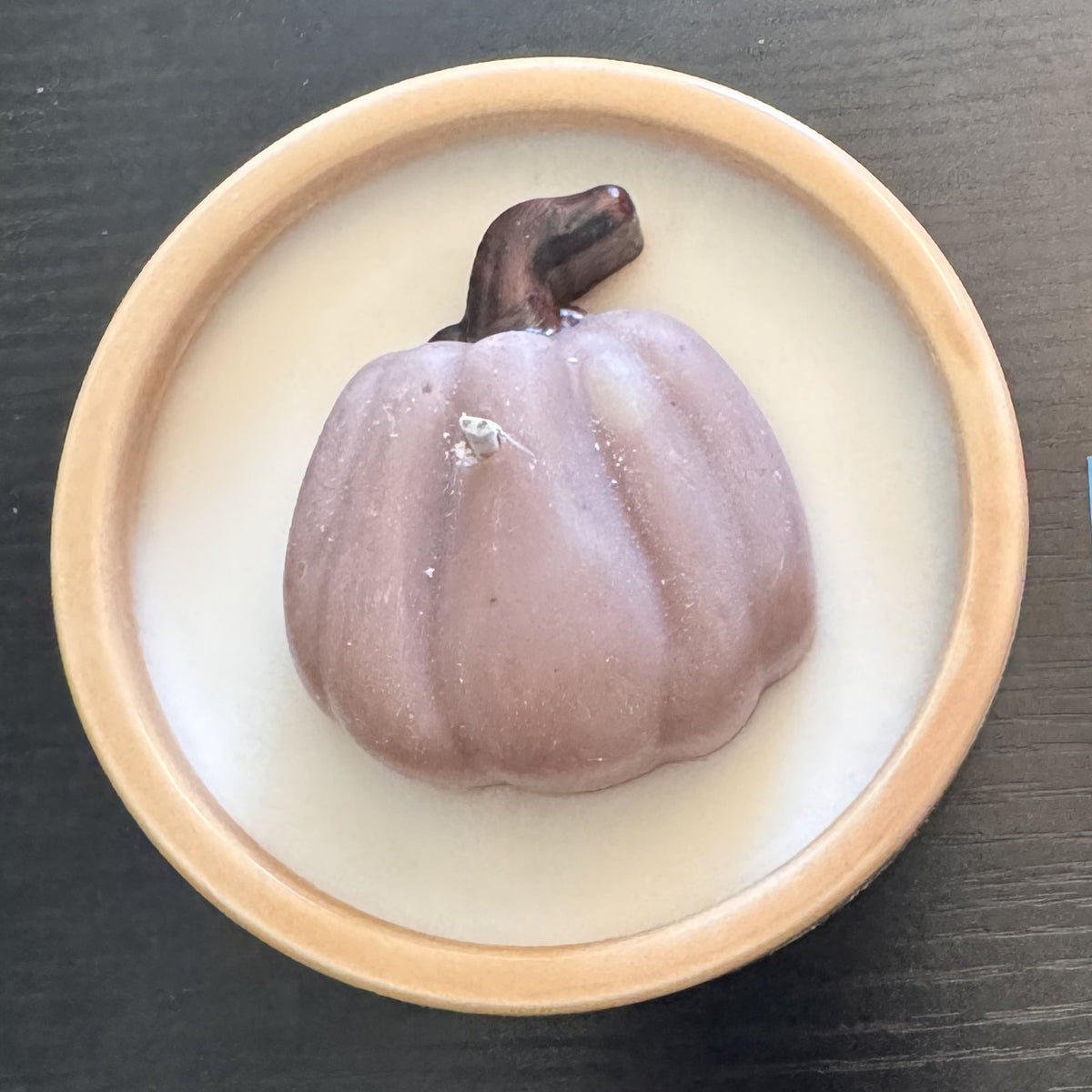 Fall Acorn or Pumpkin Ceramic Jar Candles